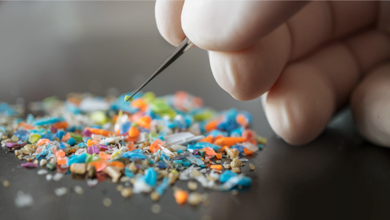 Items That Stop Over Using A Reason To Stop Overusing Plastic - The Tattler